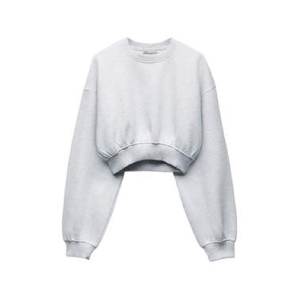 Zara Light Gray Cropped Hoodie